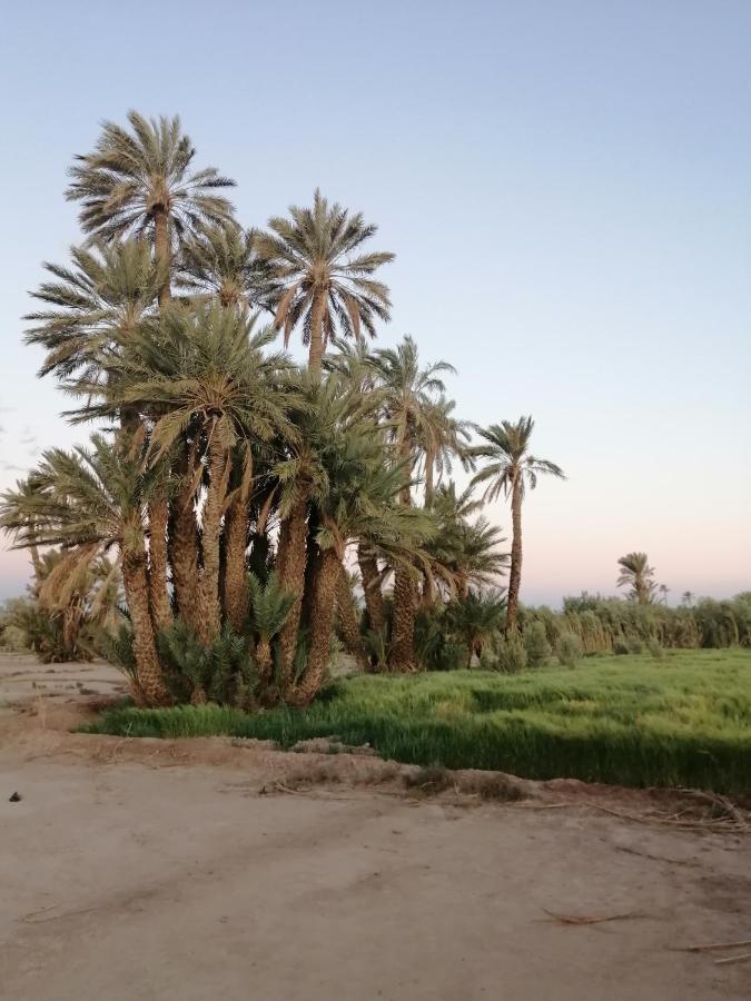 Gite Ait Lmaalam Chez Ahmed Скура Екстер'єр фото